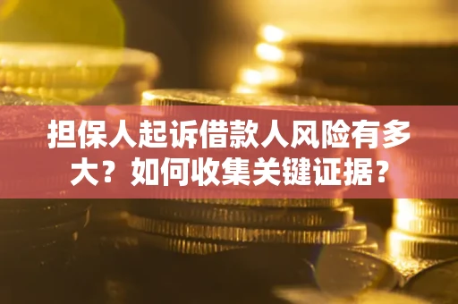 武汉担保人起诉借款人风险有多大？如何收集关键证据？