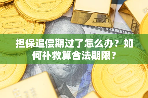 武汉担保追偿期过了怎么办？如何补救算合法期限？