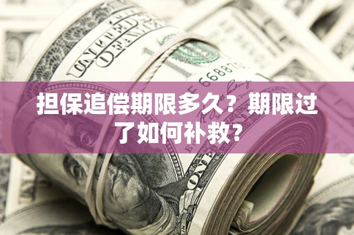 武汉担保追偿期限多久？期限过了如何补救？