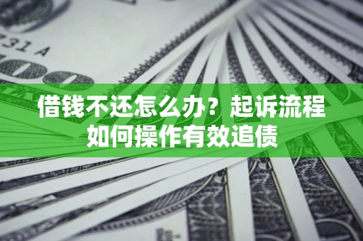 武汉借钱不还怎么办？起诉流程如何操作有效追债