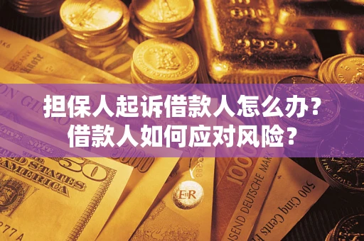 武汉担保人起诉借款人怎么办？借款人如何应对风险？