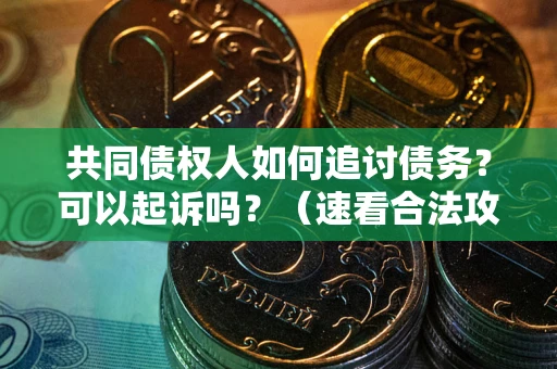 武汉共同债权人如何追讨债务？可以起诉吗？（速看合法攻略）