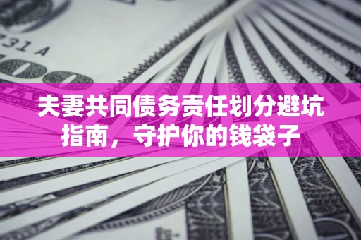 武汉夫妻共同债务责任划分避坑指南，守护你的钱袋子