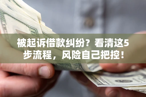 武汉被起诉借款纠纷？看清这5步流程，风险自己把控！