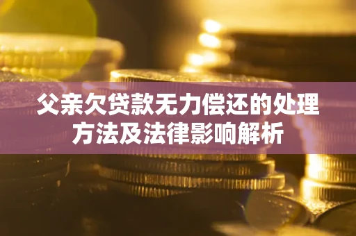 武汉父亲欠贷款无力偿还的处理方法及法律影响解析